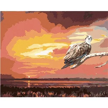 Zuty - Malování podle čísel - OREL NA VĚTVI A ZÁPAD SLUNCE (D. RUSTY RUST), 80x100 cm, vypnuté plátn (HRAmmb01657nad)