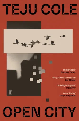 Open City - Cole Teju