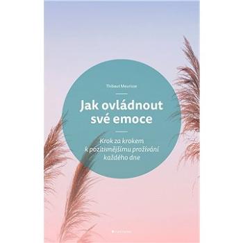 Jak ovládnout své emoce (978-80-271-3779-4)