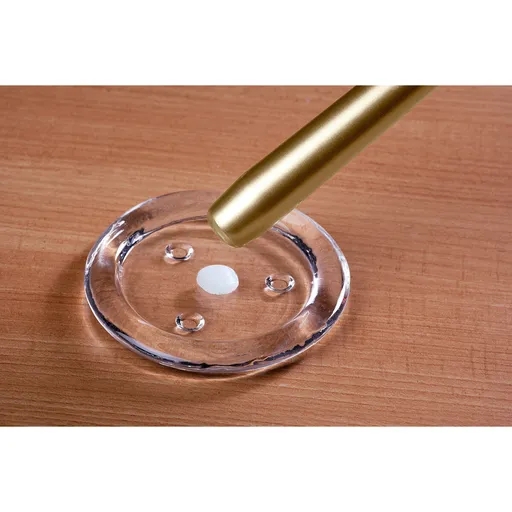 30 lepicích voskových plátků