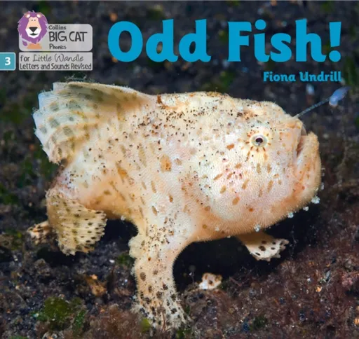 Odd Fish! - Undrill Fiona