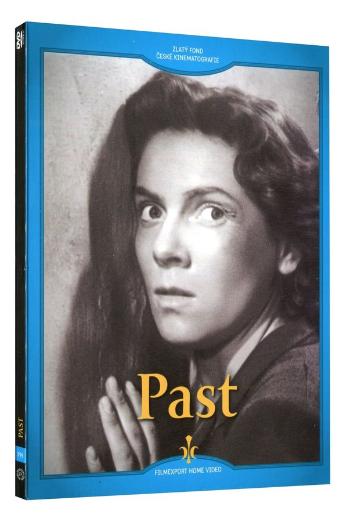 Past (DVD) - digipack