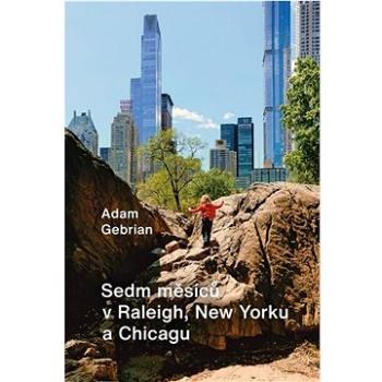 Sedm měsíců v Raleigh, New Yorku a Chicagu (978-80-242-8481-1)