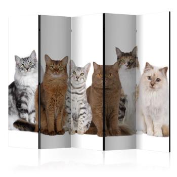 Paraván Sweet Cats Dekorhome 225x172 cm (5-dílný)