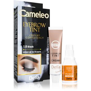 Delia Cosmetics Cameleo krémová profesionální barva na obočí bez amoniaku odstín 1.0 Black 15 ml