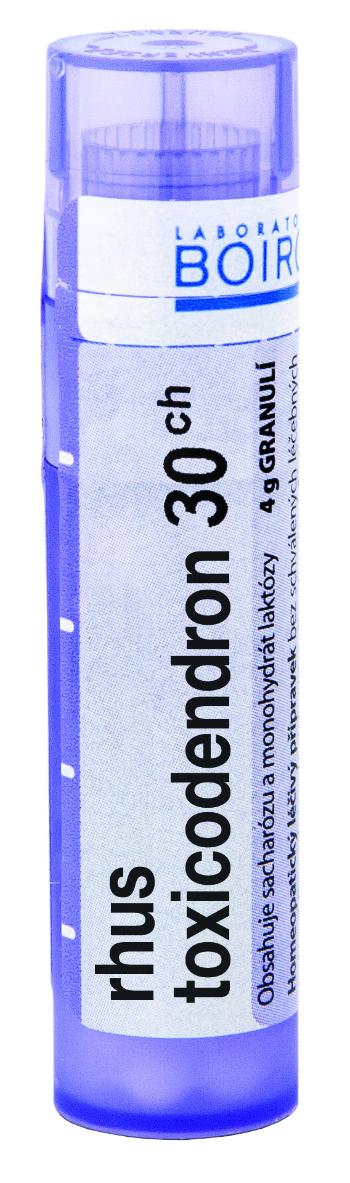 BOIRON Rhus Toxicodendron CH30 granule 4 g
