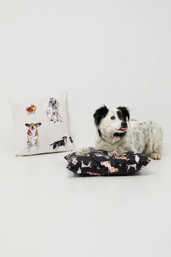 Dekorativní povlak na polštář Medicine 2-pack