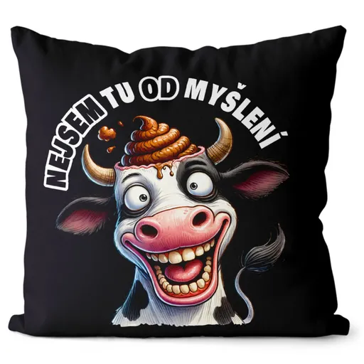 Polštář Nejsem tu od myšlení (Velikost: 40 x 40 cm)