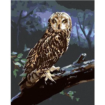 Zuty - Malování podle čísel - SOVA NA KLÁDĚ V NOCI (D. RUSTY RUST), 80x100 cm, vypnuté plátno na rám (HRAmmb01489nad)