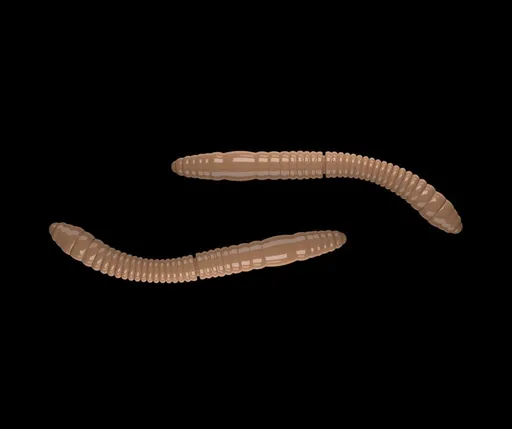 Libra Lures Fatty D’Worm Pellet - D’Worm 6,5cm 10ks,Libra Lures Fatty D’Worm Pellet - D’Worm 6,5cm 10ks