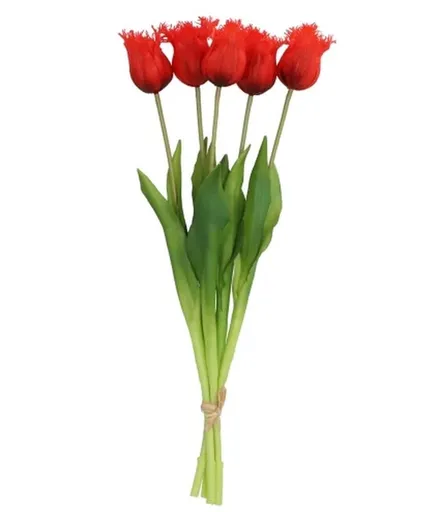 Kytice 5ks červených realistických tulipánů Tulips Papagayo - 46 cm daan kromhout