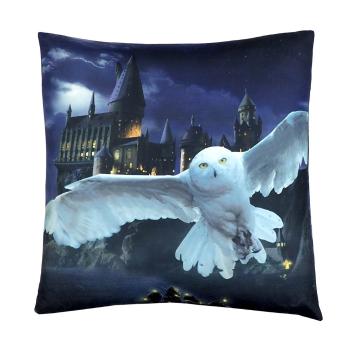 Jerry Fabrics Dětský polštářek s potiskem - Harry Potter - Bradavice | 40 x 40 cm