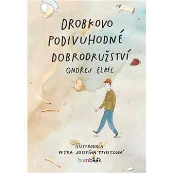 Drobkovo podivuhodné dobrodružství (978-80-271-2933-1)