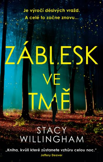 Záblesk ve tmě - Stacy Willingham - e-kniha