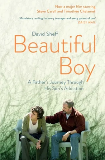 Beautiful Boy - David Sheff