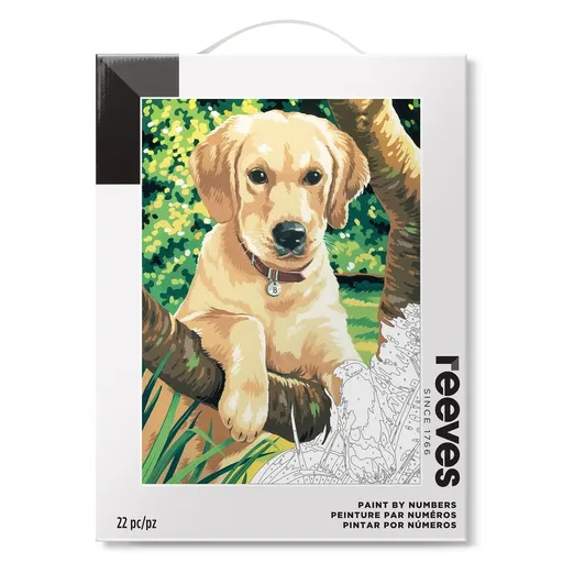 Reeves Malování podle čísel - Labrador 30x40 cm