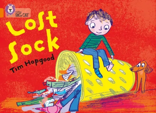 The Lost Sock - Hopgood Tim