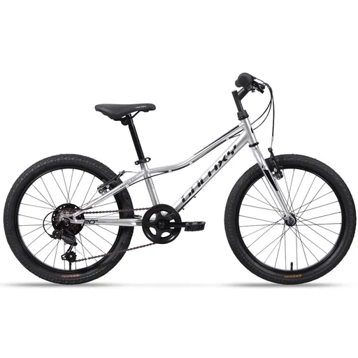 Dětské kolo Galaxy Neptun 20" 10.0 10" (113-135 cm) stříbrná