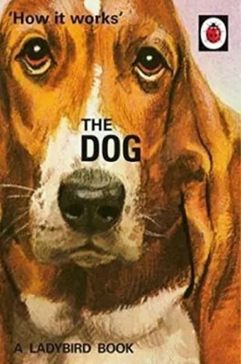 How it Works: The Dog - Jason Hazeley, Joel Morris
