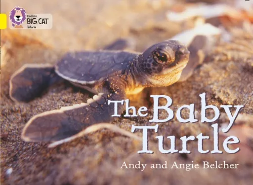 The Baby Turtle - Andy Belcher, Angie Belcher