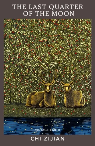 The Last Quarter of the Moon - Zijian Chi