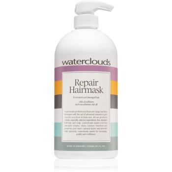 Waterclouds Repair Hairmask regenerační a hydratační maska na vlasy 1000 ml