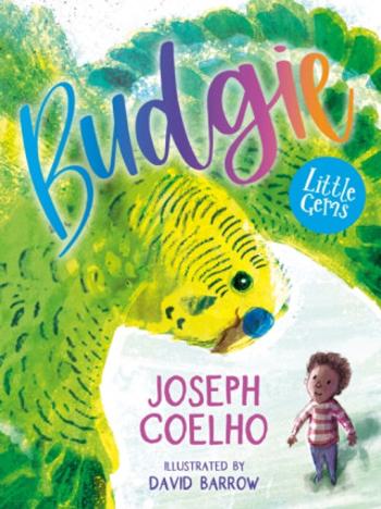 Budgie - Coelho Joseph