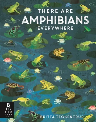 There Are Amphibians Everywhere - Camilla de la Bédoyére