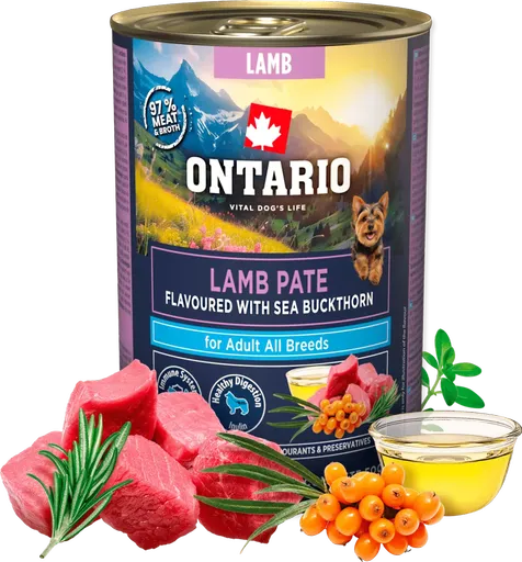 Konzerva Ontario Adult jehněčí pate s příchutí rakytníku 400g
