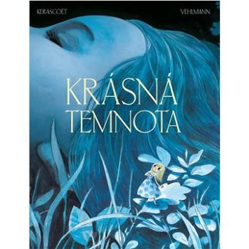 Krásná temnota (978-80-7449-888-6)