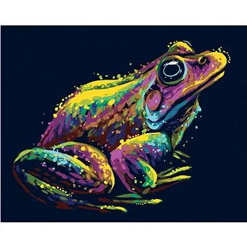 Diamondi - Diamantové malování - BAREVNÁ ŽÁBA, 40x50 cm, bez rámu a bez vypnutí plátna (606179A)