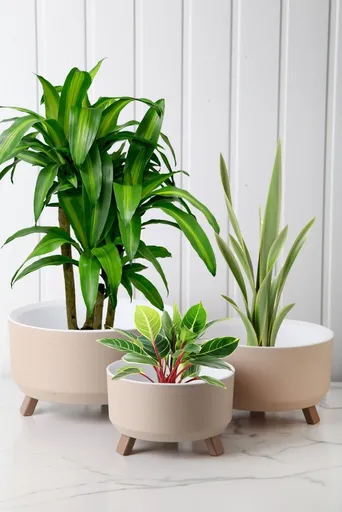 Vase Set TRPTSKS-3-3