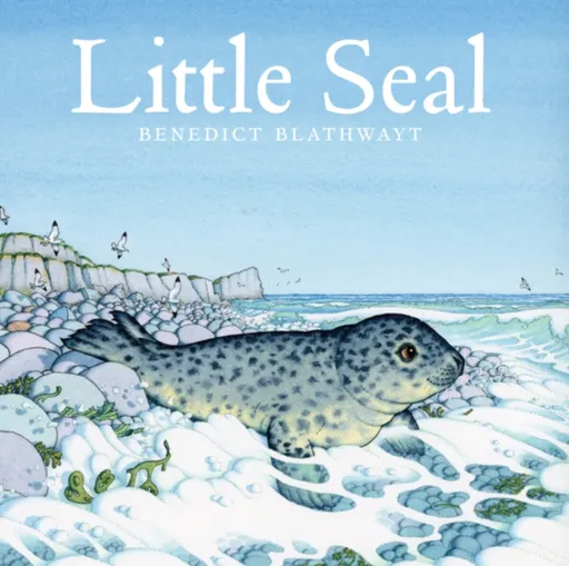 Little Seal - Benedict Blathwayt