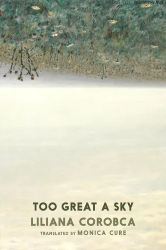 Too Great A Sky - Liliana Corobca