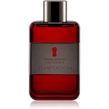 Banderas The Secret Temptation toaletní voda pro muže 100 ml