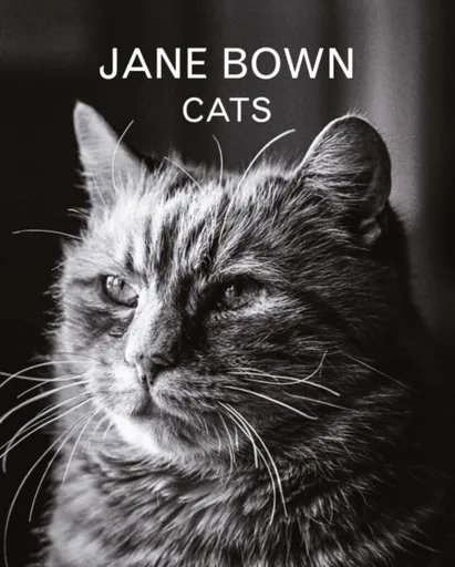 Jane Bown: Cats - Jane Bown