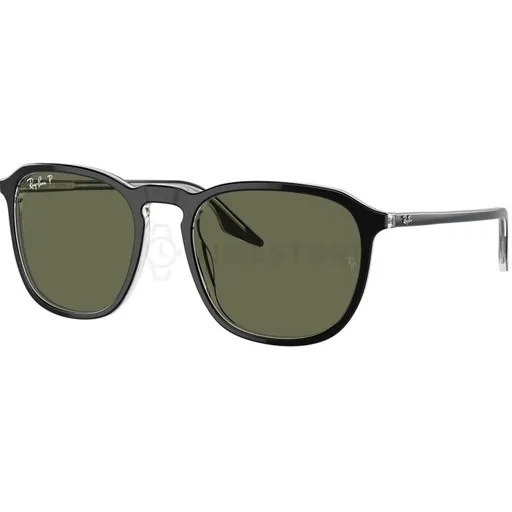 Ray-Ban RB2203 919/58 52
