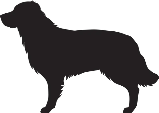 Vsepropejska Zlatý retrívr 3 dřevěná dekorace na zeď Rozměr (cm): 27 x 38