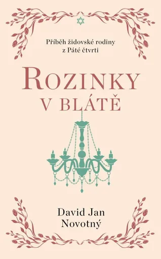 Rozinky v blátě - David Jan Novotný