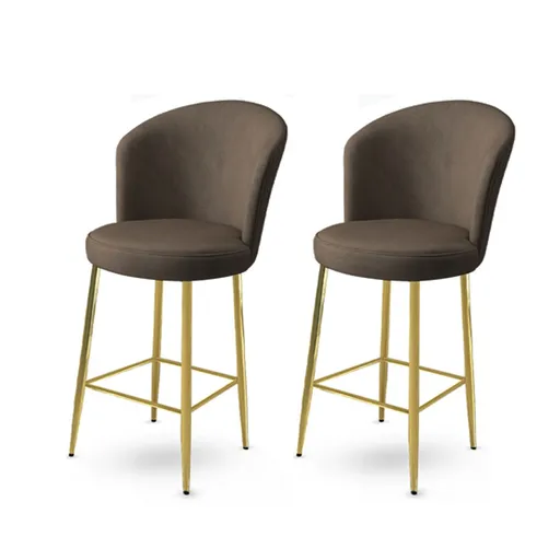 Bar Stool Set (2 Pieces) Fora - Anthracite, Gold