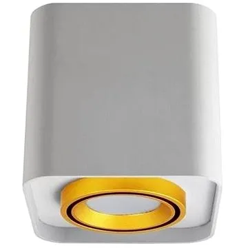 Stropní svítidlo EGER 1xGU10/10W/230V (109089)