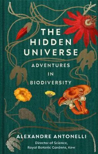 The Hidden Universe - Antonelli Alexandre