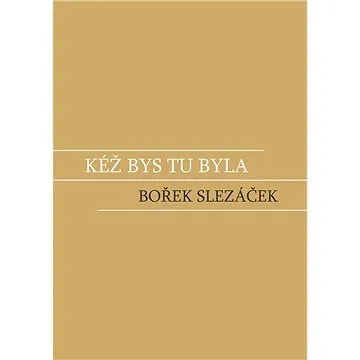 Kéž bys tu byla (978-80-265-1088-8)