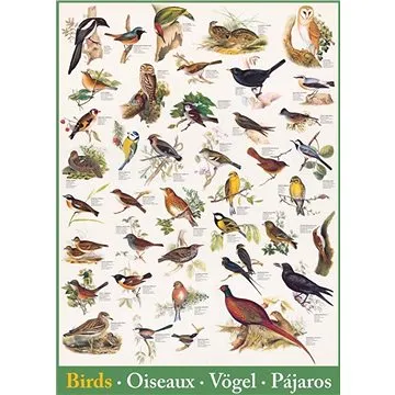 Eurographics Puzzle Ptáci 1000 dílků (628136612593)