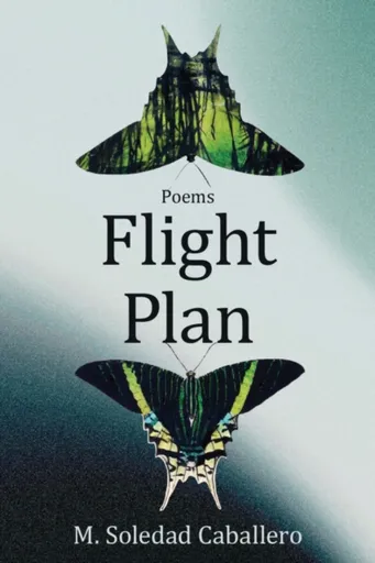 Flight Plan - M. Soledad Caballero