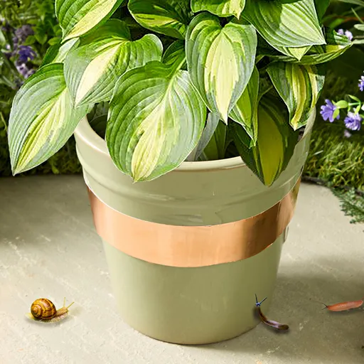 Měděná páska proti hlemýžďům a slimákům