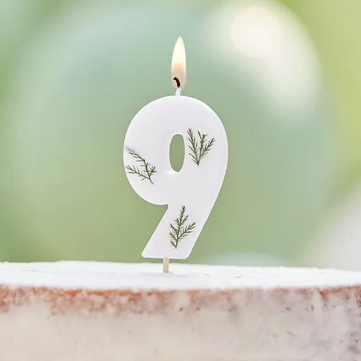 Amscan Narozeninová svíčka 9 - Nature