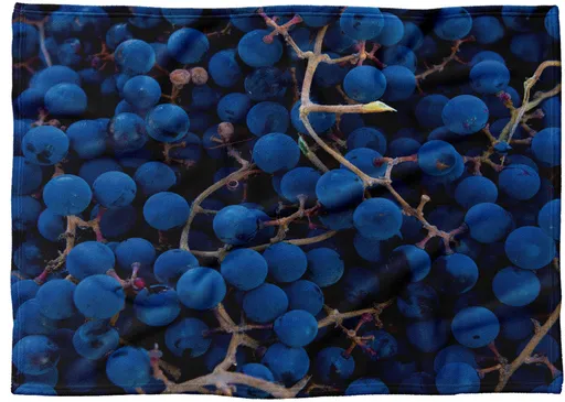 IMPAR Fleecová deka Víno 150x120 cm (Rozměr : 200 x 140 cm, Podšití beránkem: NE)