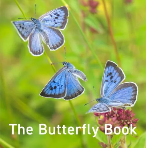 Nature Book Series: The Butterfly Book - Andrew Fusek Peters, Jane Russ