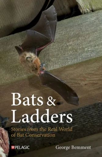 Bats & Ladders - George Bemment